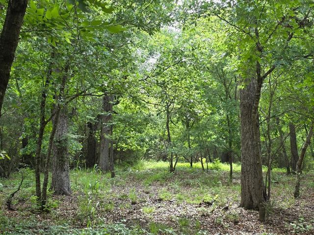 8415 Hollandbush Court, Cleburne, TX 76033