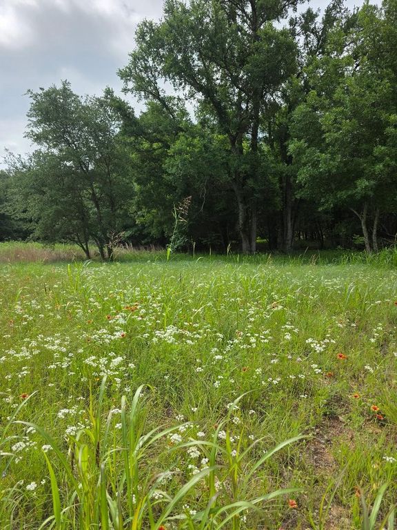 8415 Hollandbush Court, Cleburne, TX 76033