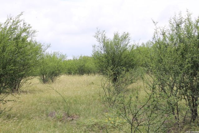 TBD FM 3353, Seguin, TX 78155