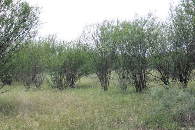 TBD FM 3353, Seguin, TX 78155