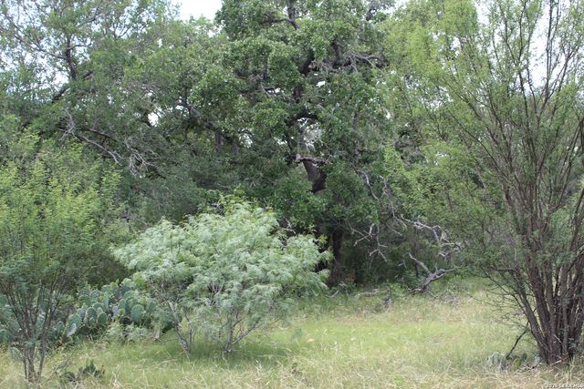 TBD FM 3353, Seguin, TX 78155