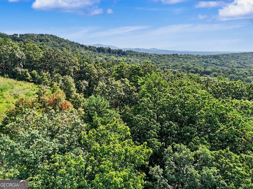 0 Piedmont Mountain Road, Clarkesville, GA 30523 — photo 2