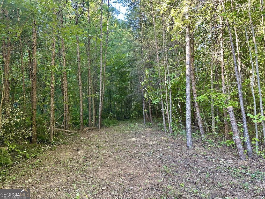 0 Piedmont Mountain Road, Clarkesville, GA 30523 — photo 5