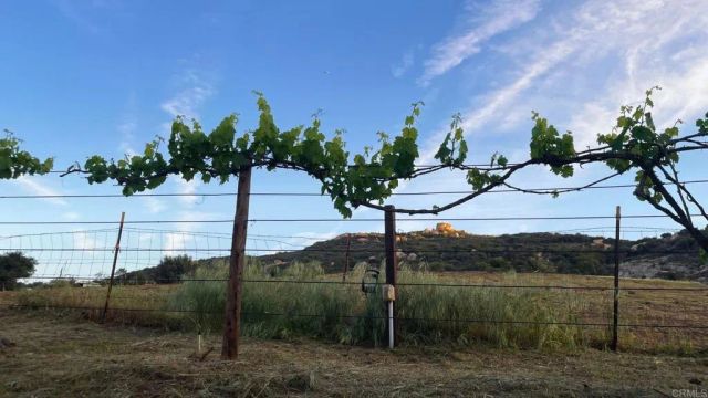22002 Lyons Valley Road, Alpine, CA 91901