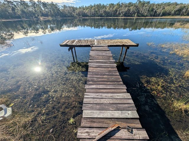 14730 SE 61ST STREET ROAD, Ocklawaha, FL 32179