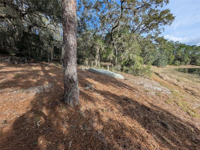 14730 SE 61ST STREET ROAD, Ocklawaha, FL 32179