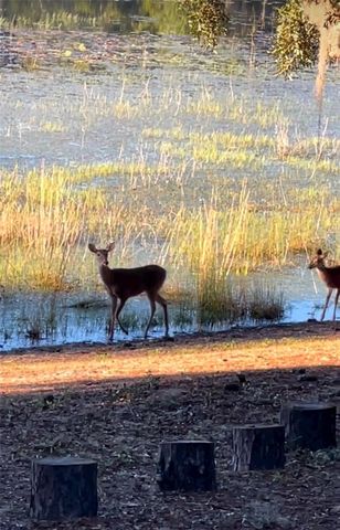 14730 SE 61ST STREET ROAD, Ocklawaha, FL 32179