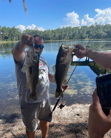 14730 SE 61ST STREET ROAD, Ocklawaha, FL 32179