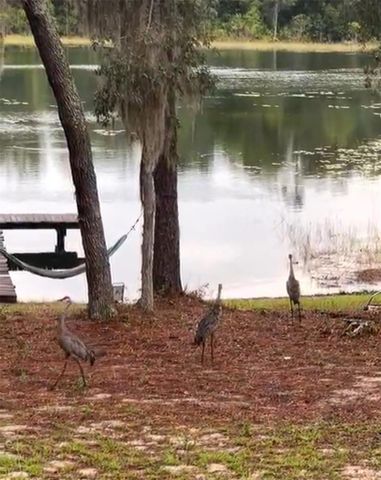 14730 SE 61ST STREET ROAD, Ocklawaha, FL 32179