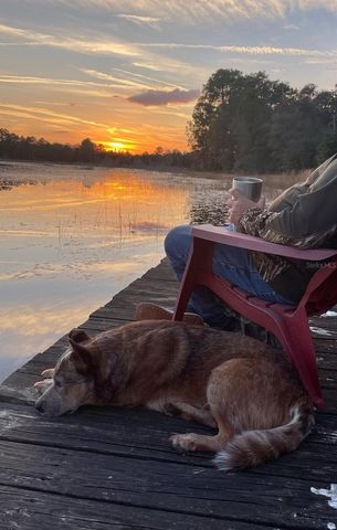 14730 SE 61ST STREET ROAD, Ocklawaha, FL 32179