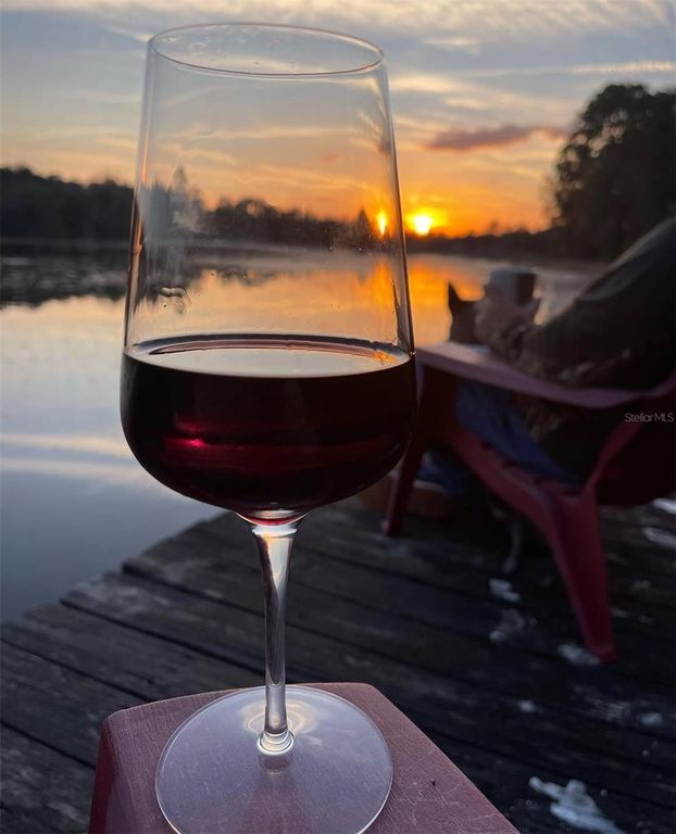 14730 SE 61ST STREET ROAD, Ocklawaha, FL 32179