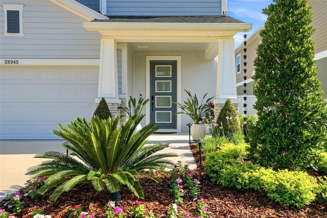 28945 ORANGE BERRY DRIVE, Wesley Chapel, FL 33543