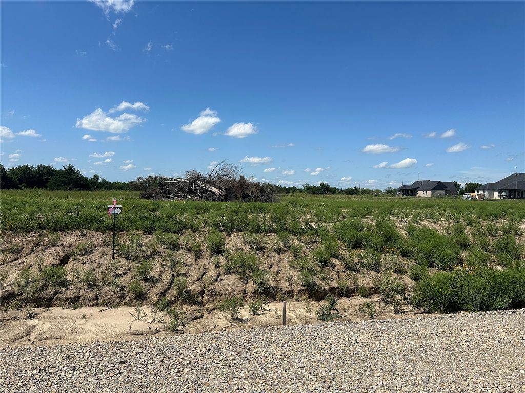 Lot 16 County Road 1110, Farmersville, TX 75442