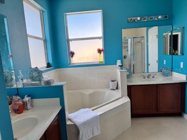 3830 GOLDEN FEATHER WAY, Kissimmee, FL 34746