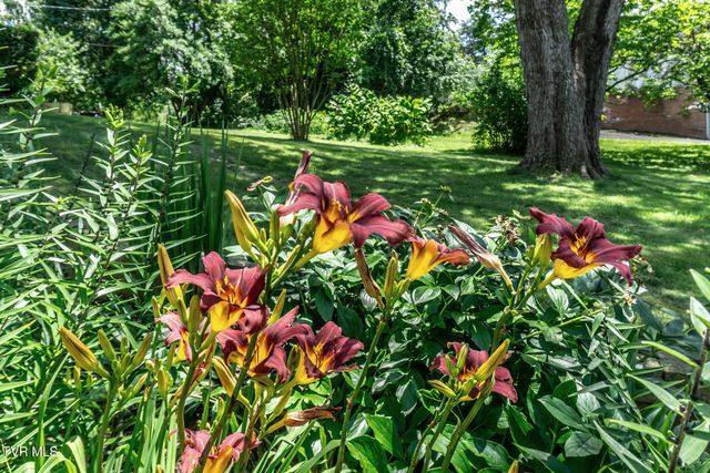 2449 Jennings Drive, Kingsport, TN 37660