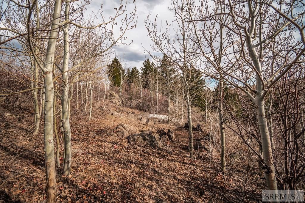 Image 17 of property listing at NA Idmon Road, Spencer, ID 83446