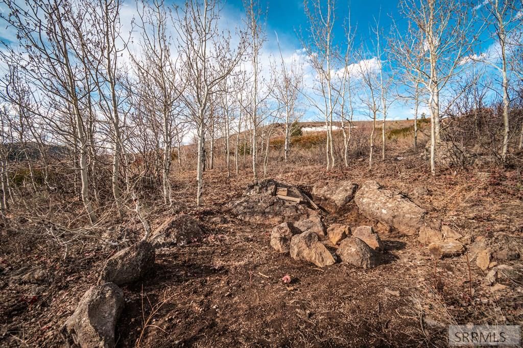 Image 18 of property listing at NA Idmon Road, Spencer, ID 83446