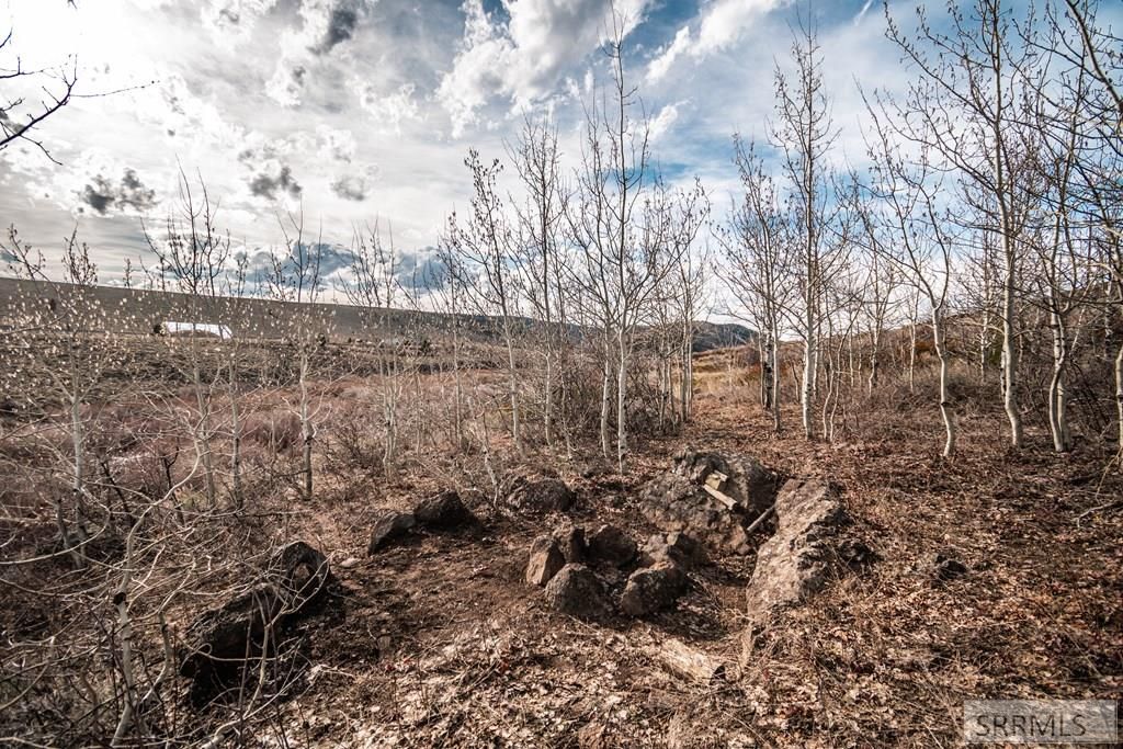 Image 19 of property listing at NA Idmon Road, Spencer, ID 83446