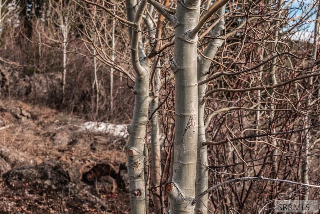 Image 21 of property listing at NA Idmon Road, Spencer, ID 83446