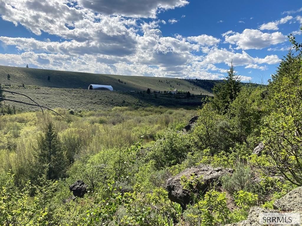 Image 3 of property listing at NA Idmon Road, Spencer, ID 83446
