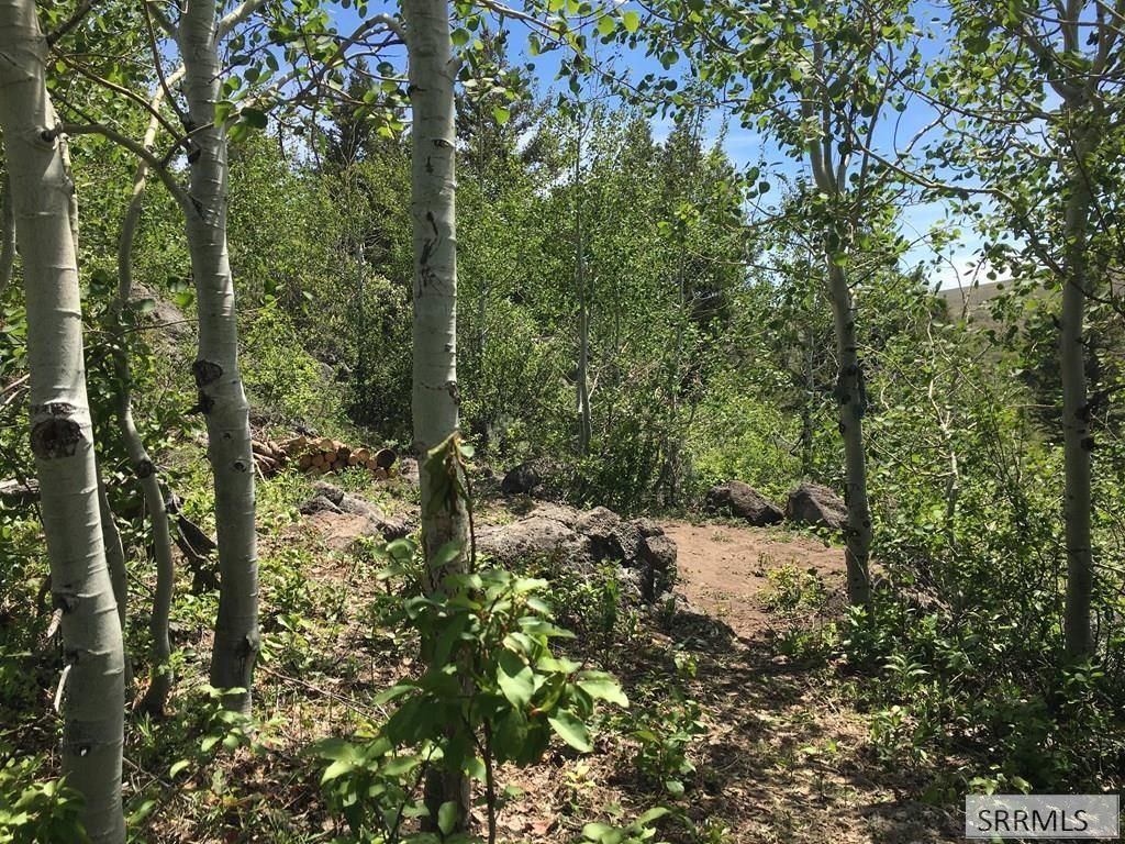 Image 4 of property listing at NA Idmon Road, Spencer, ID 83446