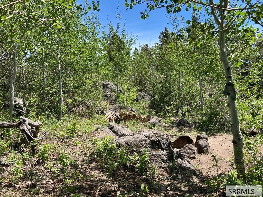 Image 7 of property listing at NA Idmon Road, Spencer, ID 83446