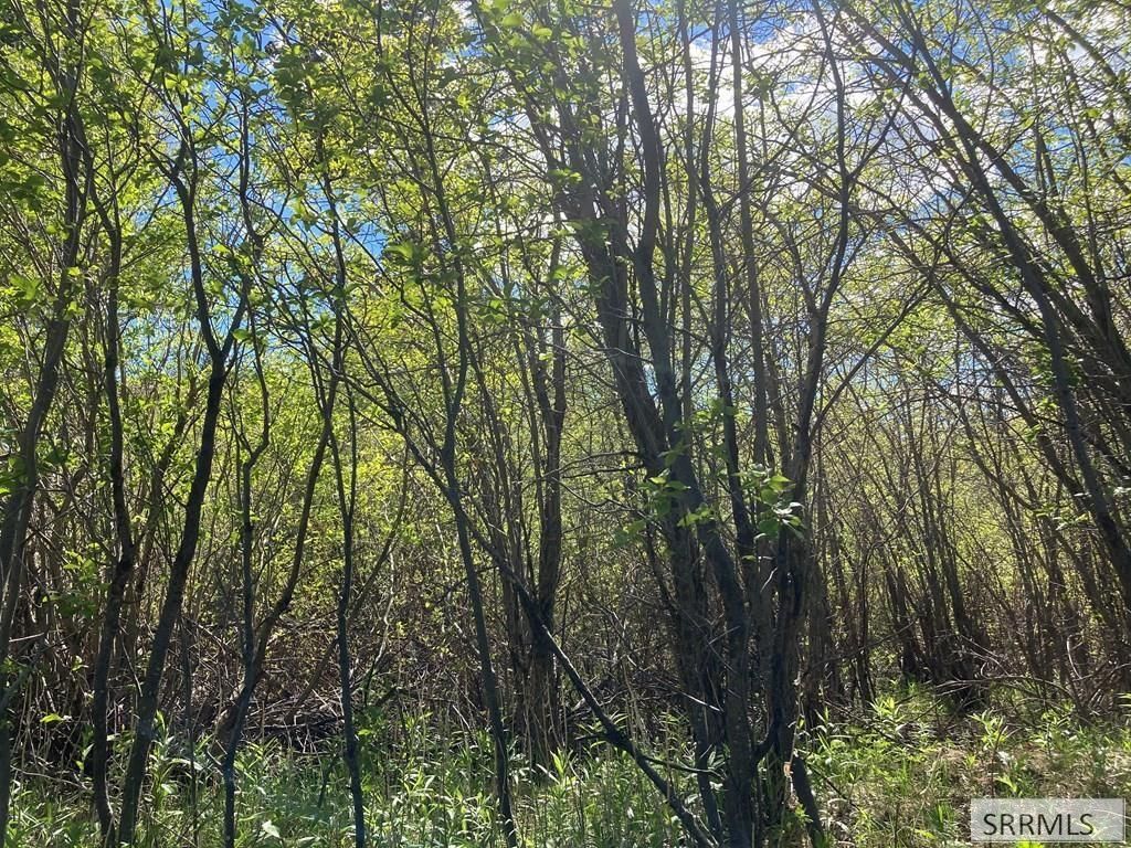 Image 8 of property listing at NA Idmon Road, Spencer, ID 83446