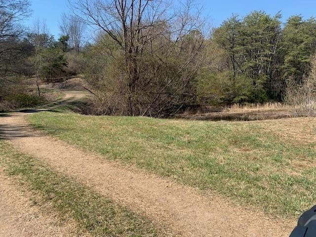 12002 JACKSON RIVER RD, Monterey, VA 24465