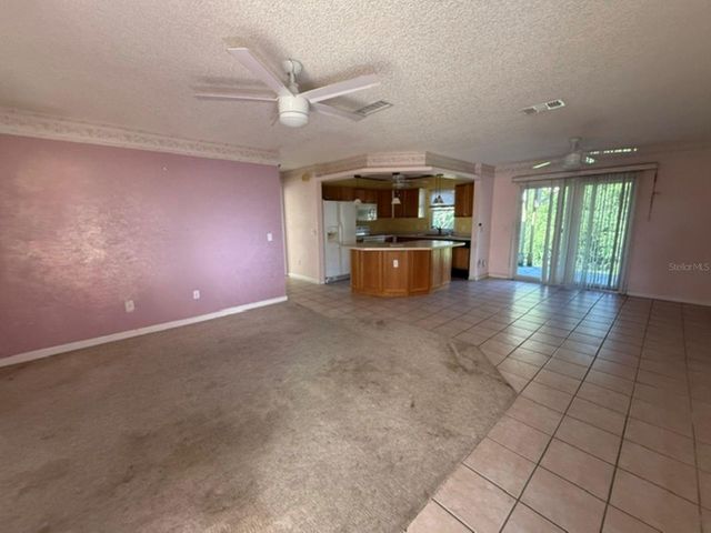 524 SAN MARINO DRIVE, Lady Lake, FL 32159