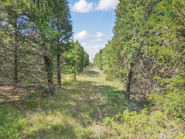 91 acres COUNTY ROAD 189, Gainesville, TX 76240
