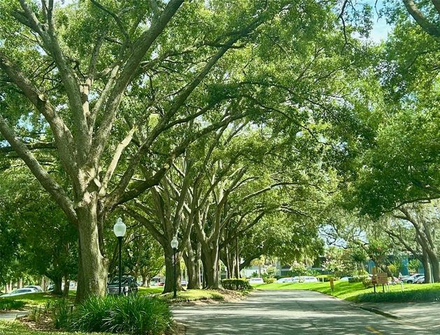 2565 OAK PARK WAY 213, Orlando, FL 32822