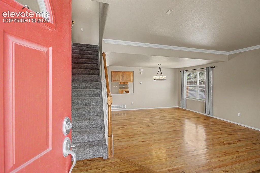 4094 Morning Glory Road, Colorado Springs, CO 80920 — photo 3
