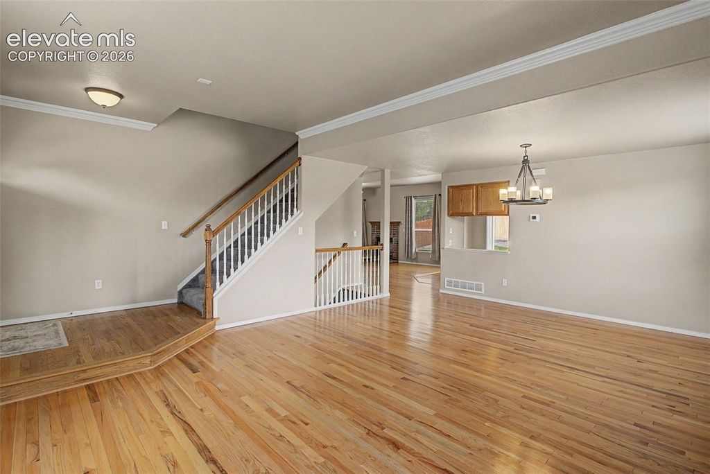 4094 Morning Glory Road, Colorado Springs, CO 80920 — photo 4