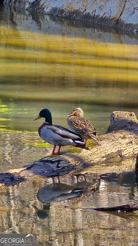 225 Tanager Court, Monticello, GA 31064