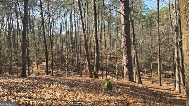 225 Tanager Court, Monticello, GA 31064