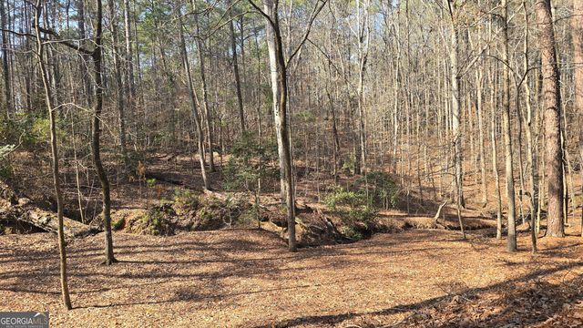 225 Tanager Court, Monticello, GA 31064