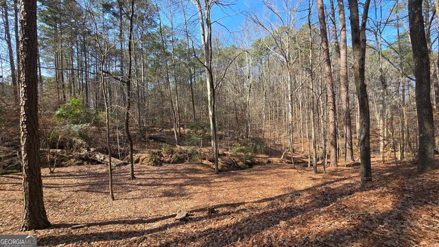 225 Tanager Court, Monticello, GA 31064