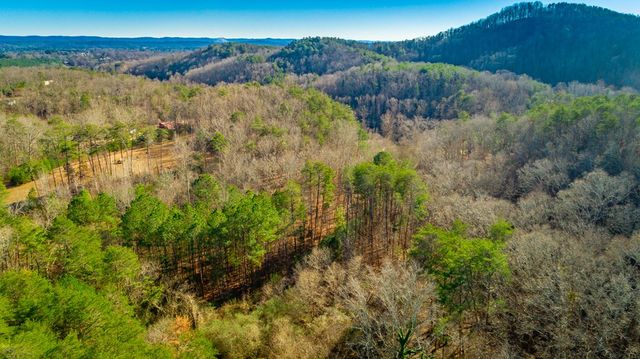 4516 Old Mineral Springs Rd, Lafayette, GA 30728