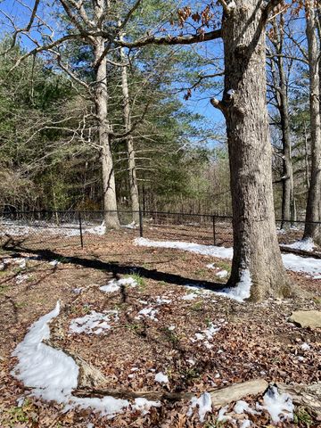 164 Rattlesnake Rd, Mcminnville, TN 37110