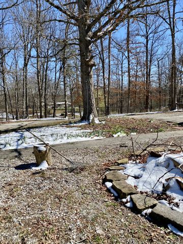 164 Rattlesnake Rd, Mcminnville, TN 37110