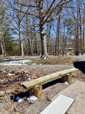 164 Rattlesnake Rd, Mcminnville, TN 37110