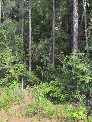 TBD Fm 1127 Road, Shepherd, TX 77371