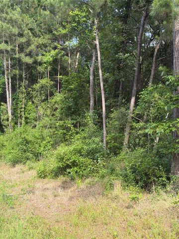 TBD Fm 1127 Road, Shepherd, TX 77371