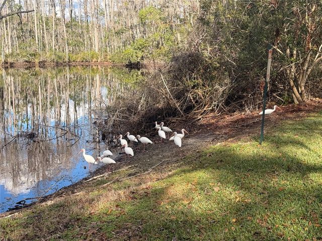 12155 ENVIRONMENTAL DRIVE 6, New Port Richey, FL 34654