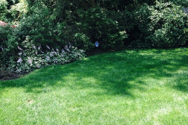 24 Blake Rd, Brookline, MA 02445