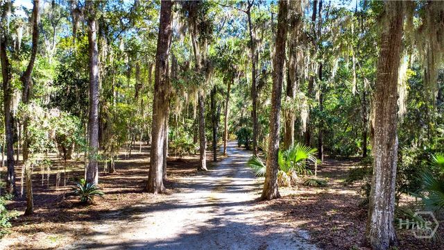 331 Silver Stream Lane, Richmond Hill, GA 31324