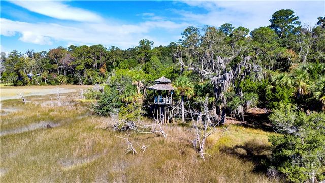 331 Silver Stream Lane, Richmond Hill, GA 31324