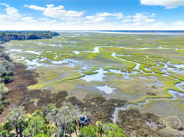 331 Silver Stream Lane, Richmond Hill, GA 31324