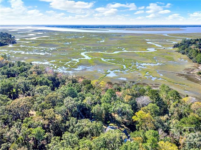 331 Silver Stream Lane, Richmond Hill, GA 31324