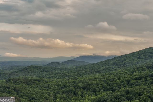 32 Lantern Cove Road, Chickamauga, GA 30707